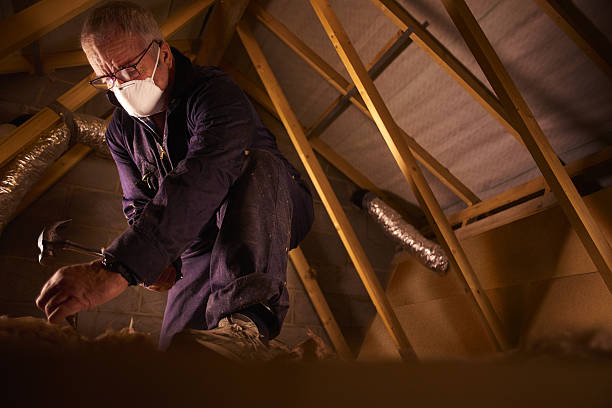 Best Insulation Maintenance and Repair in West Lawn, PA